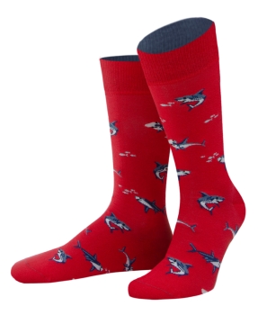 von Jungfeld 1 Paar Socken Beach Life Jaws in rot Motiv Hai