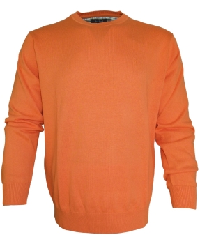 Ben Green Rundhals Pullover in orange Feinstrick