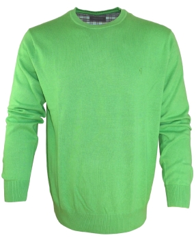 Ben Green Rundhals Pullover in grün Feinstrick