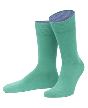 von Jungfeld 1 Paar Herrensocken in mint Barbados