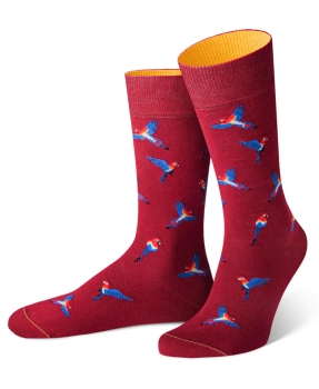 von Jungfeld 1 Paar Socken Motiv Papagei in weinrot multicolor